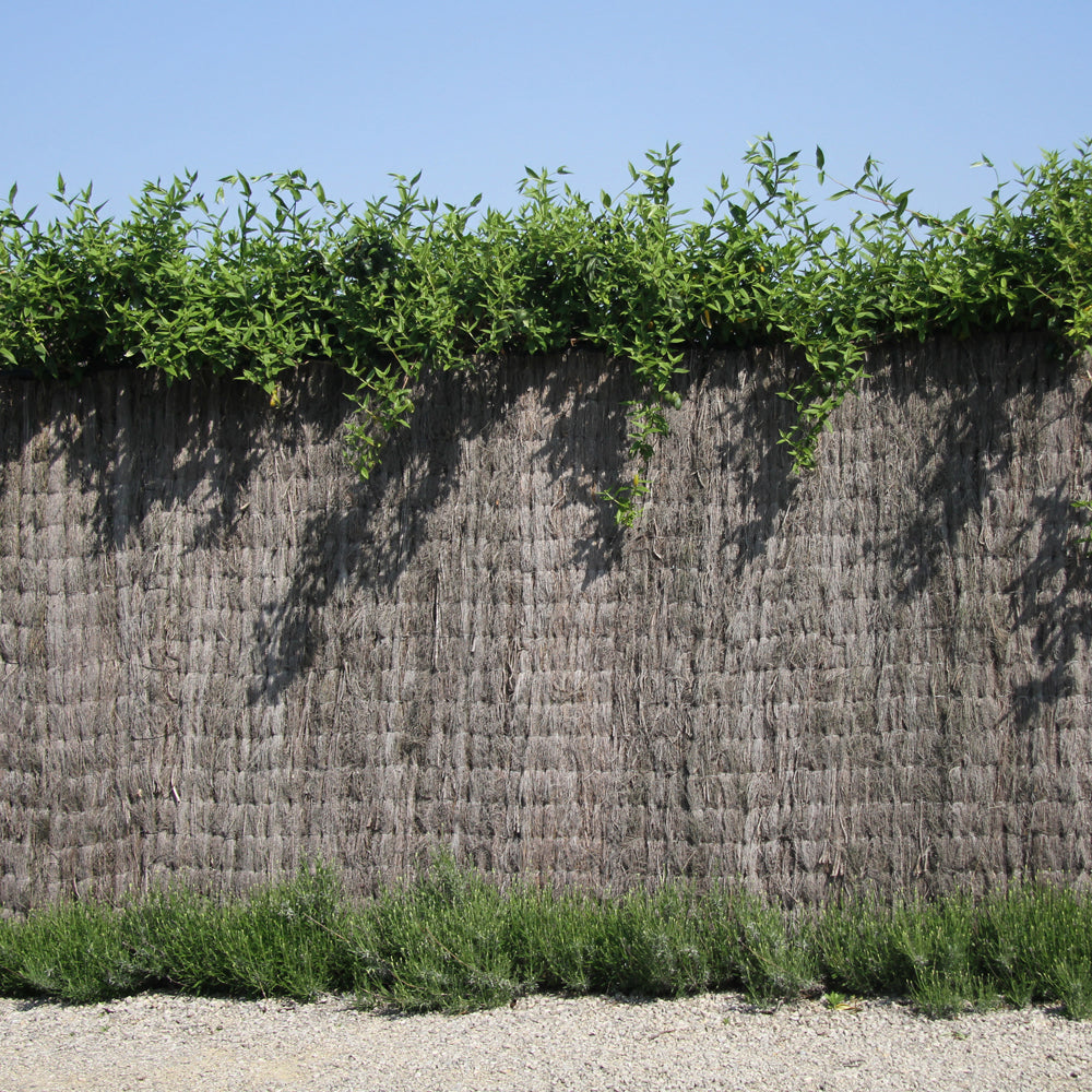 Heather mat Natural 4cm 150x300cm – Per piece 