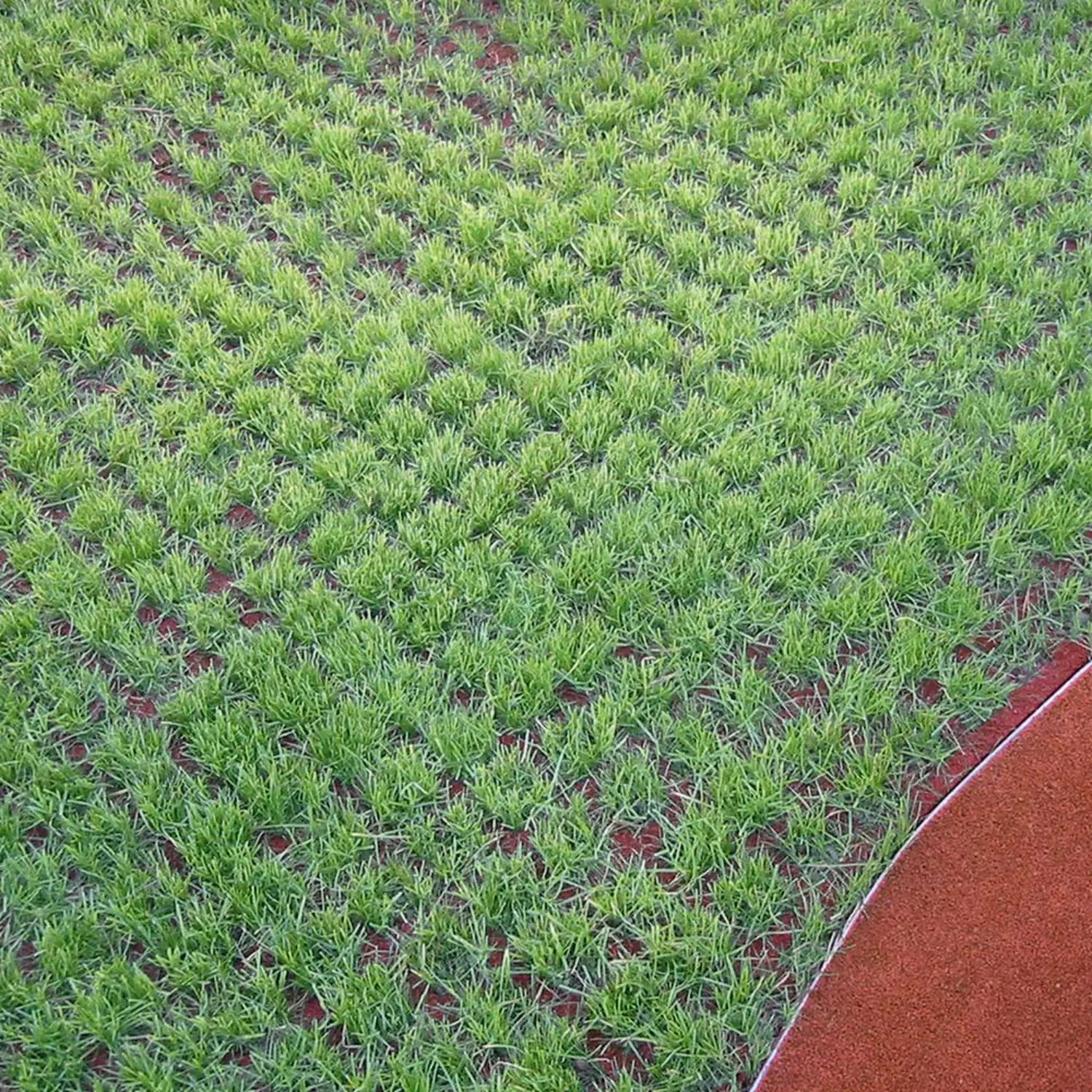 Rubbertegel Valdemping 45mm 100x100cm – Per stuk