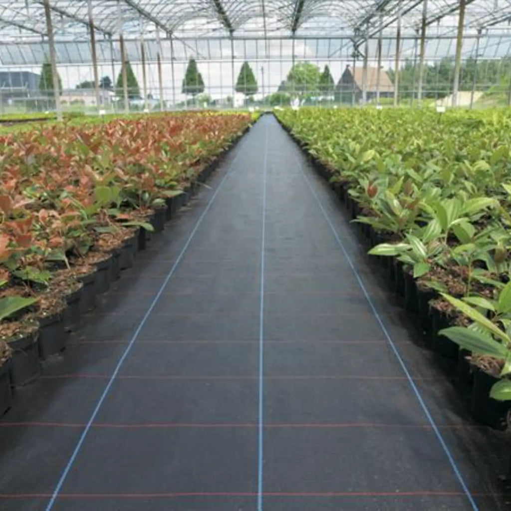 Gronddoek 100 gr/m² 420cm x 100m Zwart - Per rol