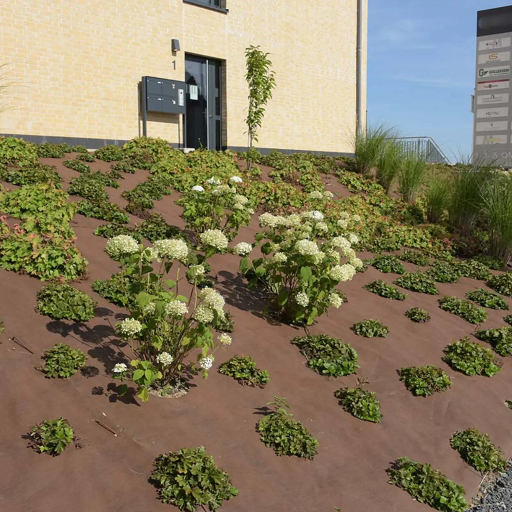 Ground cover 100 gr/m² 210cm x 100m Black with green border – Per roll 