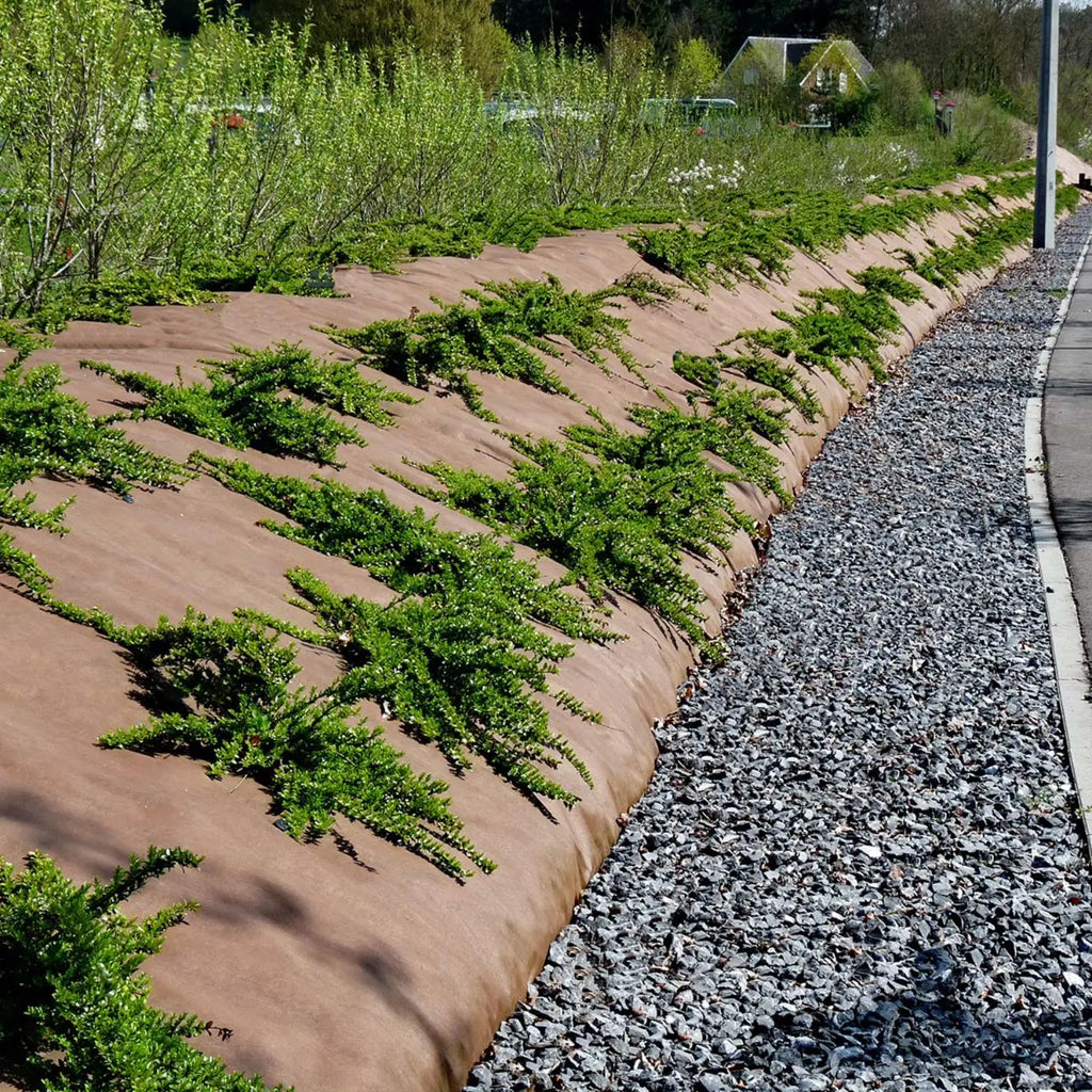 Ground cover 100 gr/m² 210cm x 100m Black with green border – Per roll 