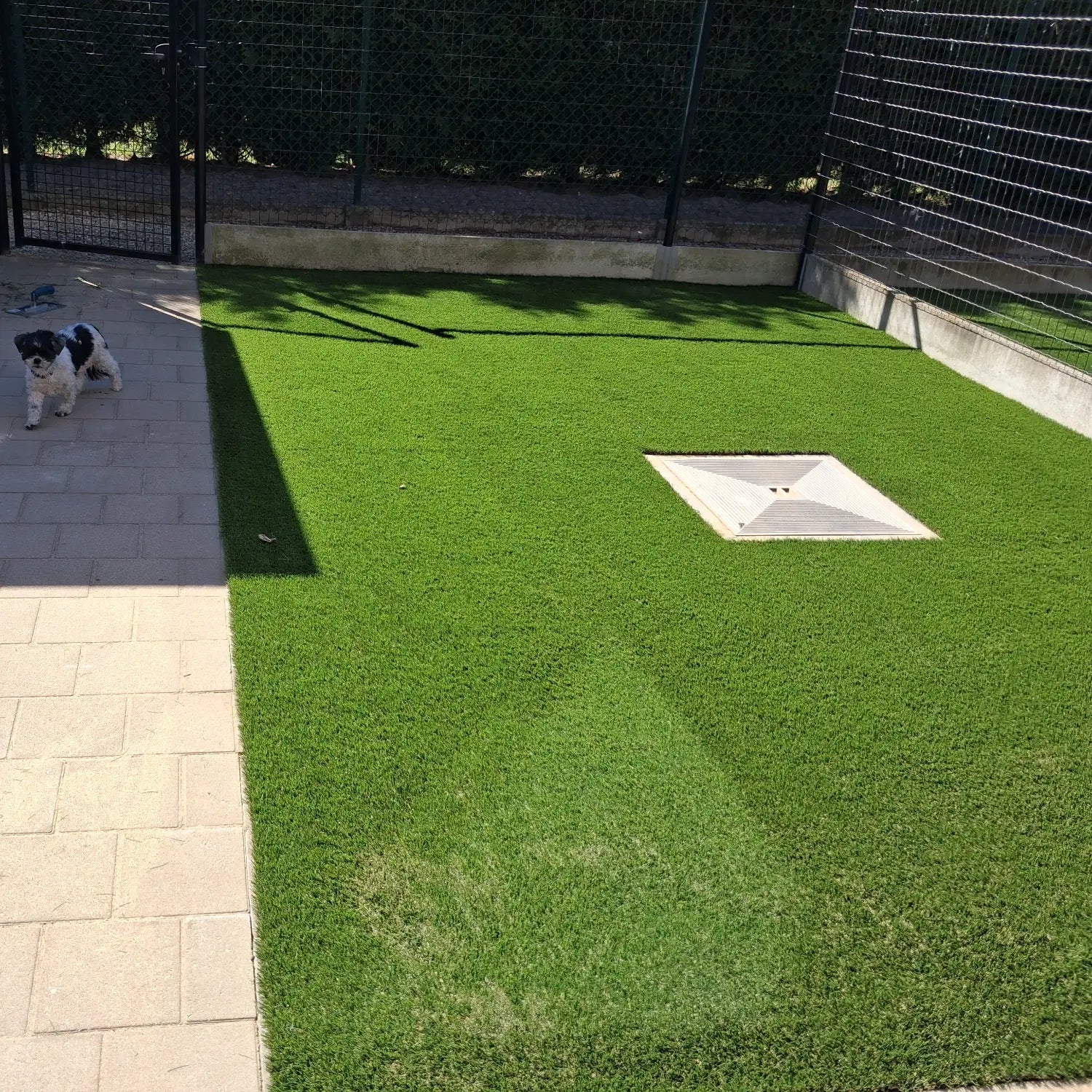 Artificial grass Roman 30mm - 4m wide - per linear meter
