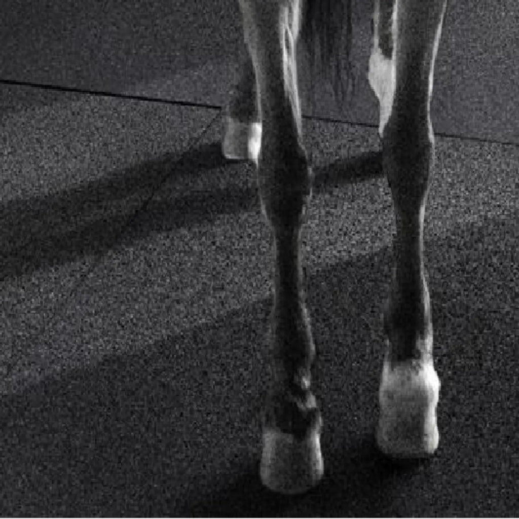 Dalle en caoutchouc 40mm,  couche supérieure premium avec sous-couche antichoc, 1000 x 1000 mm – À l'unité 