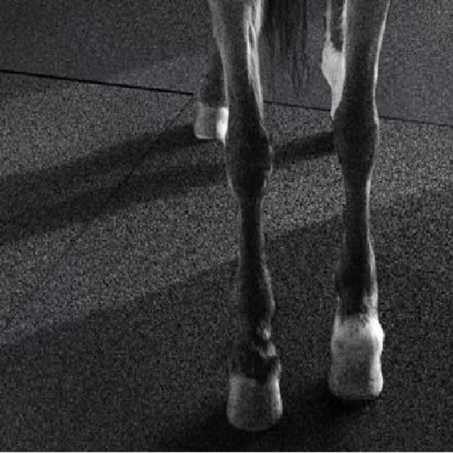 Dalle en caoutchouc 30 mm, couche supérieure premium, 1000 x 1000 mm– À l'unité 